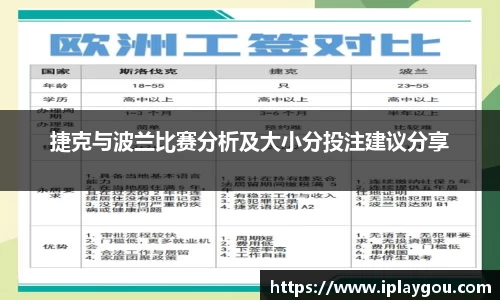 捷克与波兰比赛分析及大小分投注建议分享